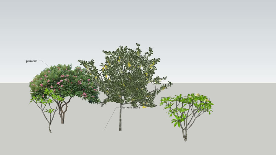 Detail 3d Tree Sketchup Nomer 5