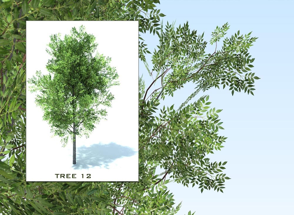 Detail 3d Tree Sketchup Nomer 45