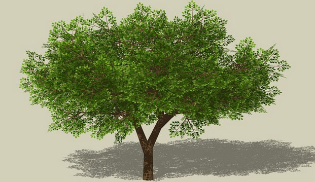 Download 3d Tree Sketchup Nomer 46