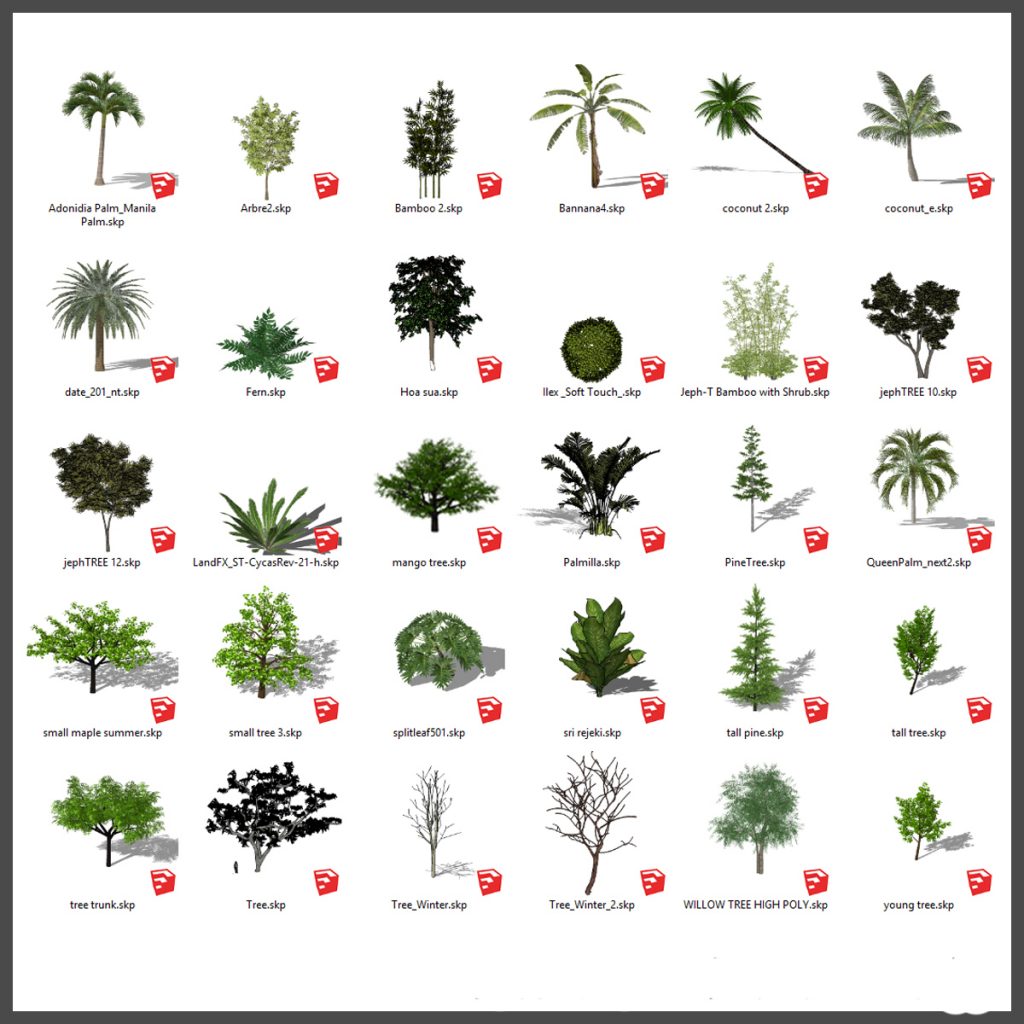 Detail 3d Tree Sketchup Nomer 50