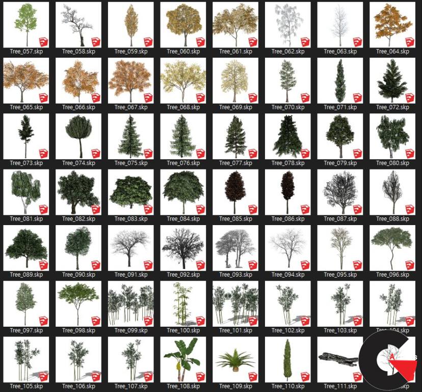 Detail 3d Tree Sketchup Nomer 51