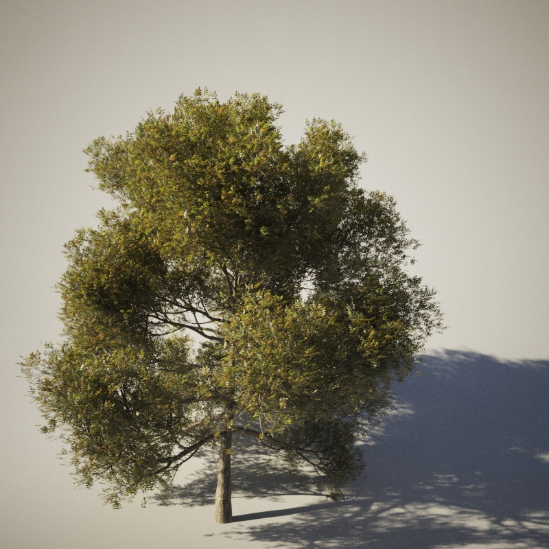 Detail 3d Tree Sketchup Nomer 53