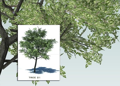 Detail 3d Tree Sketchup Nomer 56