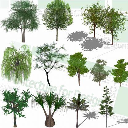 Detail 3d Tree Sketchup Nomer 57