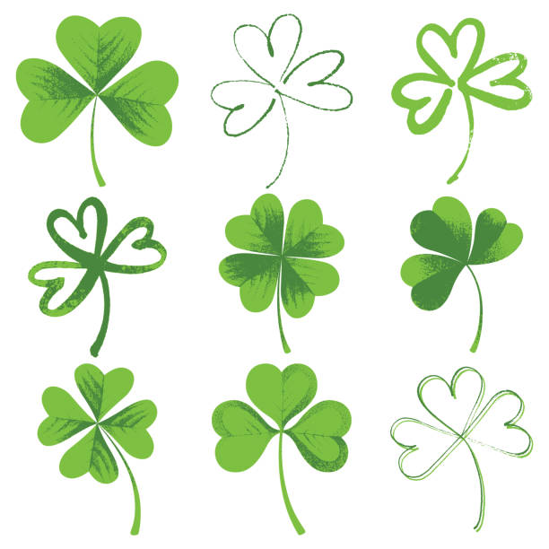 Detail 4 Leaf Clover Clipart Free Nomer 37