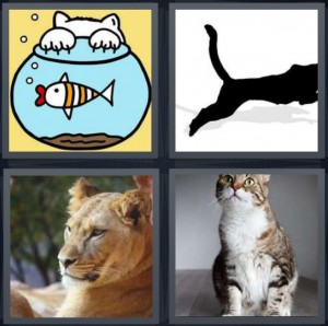 4 Pics 1 Word Cat Lion Fish Bowl - KibrisPDR