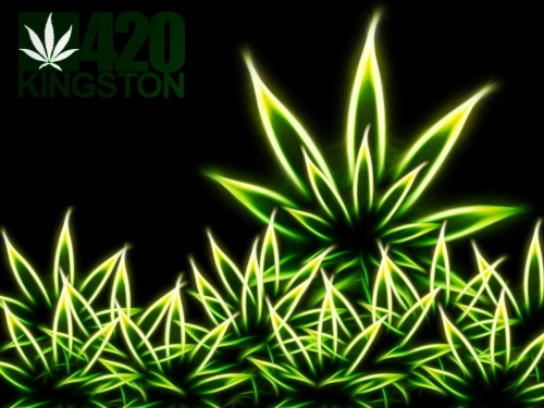 Download 420 Wallpaper Free Download Nomer 58