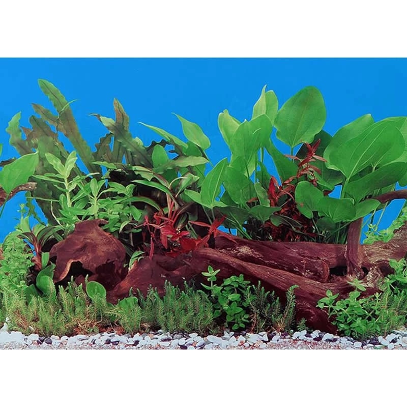 Detail 48 Aquarium Background Nomer 55