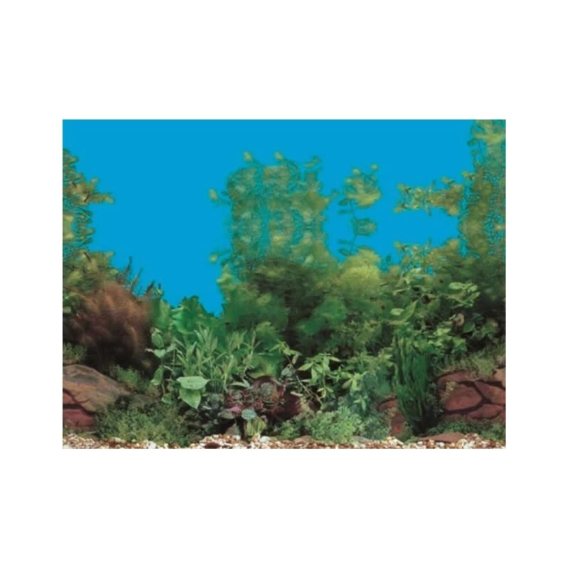 Detail 48 Aquarium Background Nomer 58