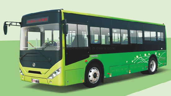 Download 49 Lynx Bus Schedule Nomer 45