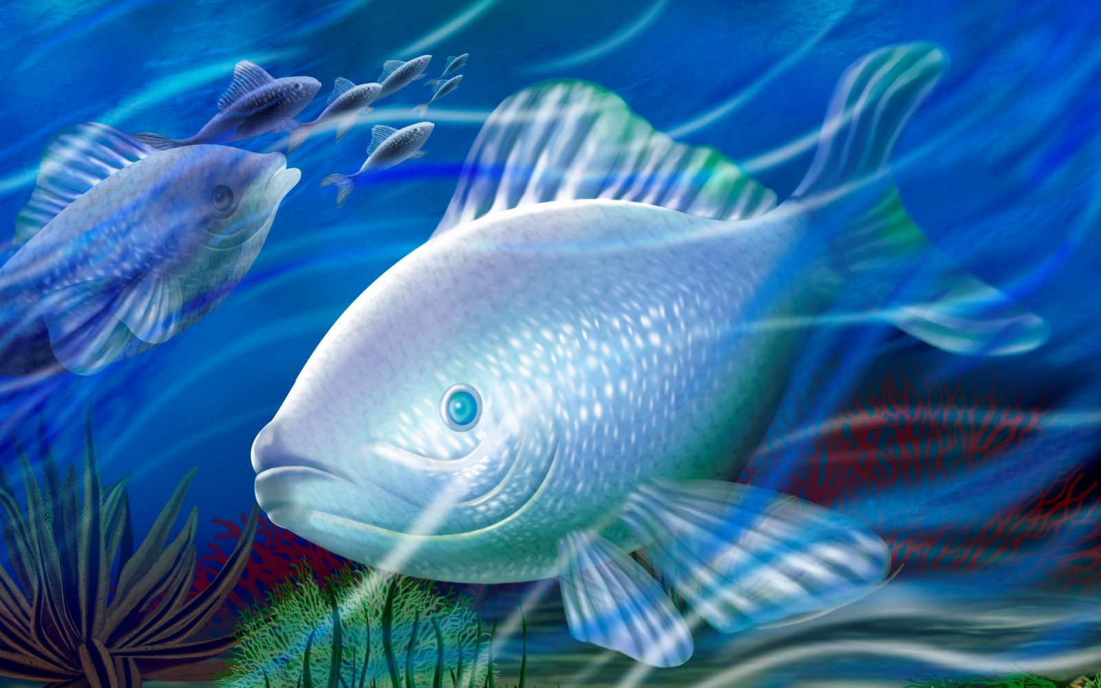 Detail 4k Fish Image Nomer 58