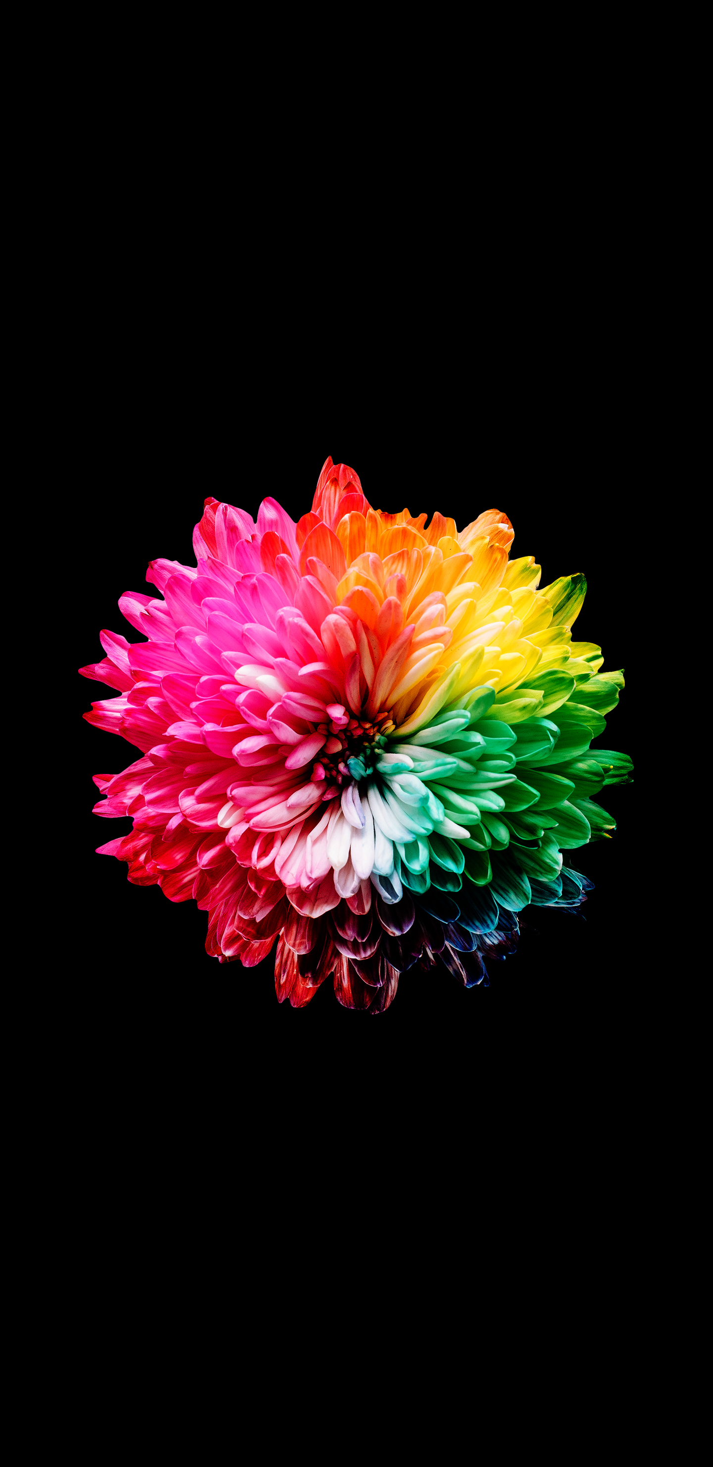Detail 4k Wallpaper Android Amoled Nomer 19