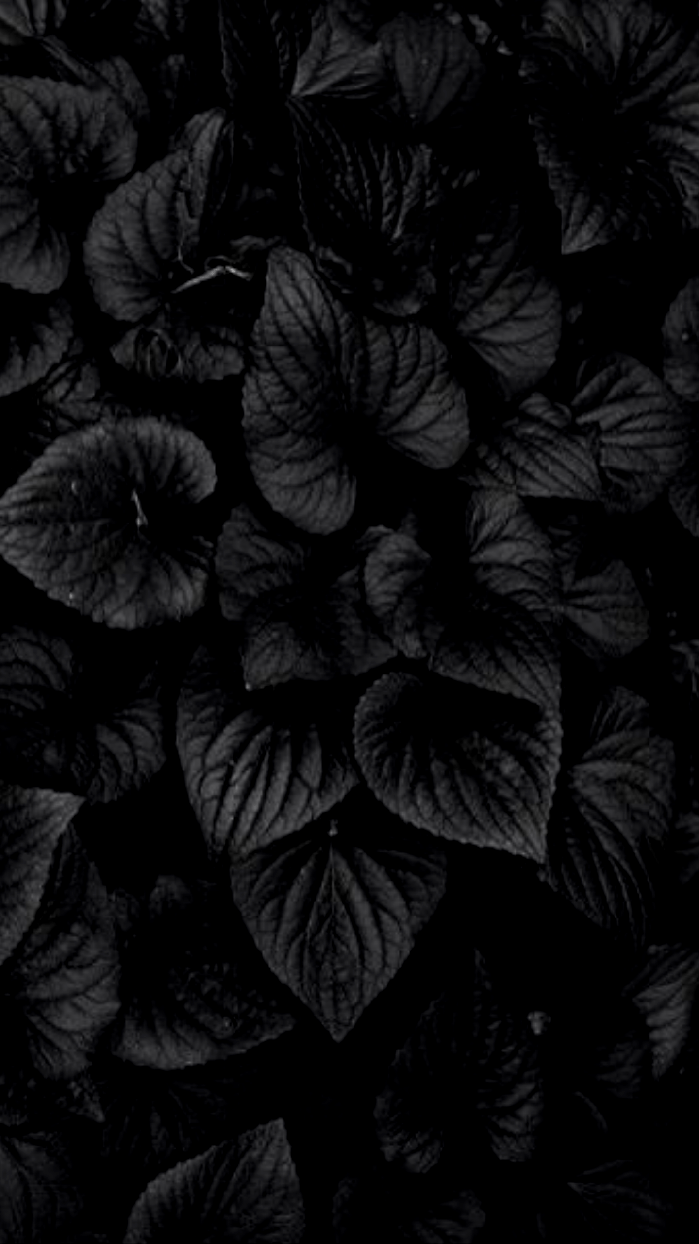 Download 4k Wallpaper Black Nomer 12