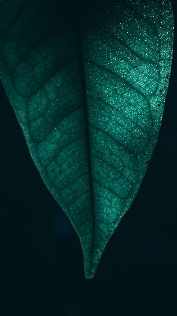 Detail 4k Wallpapers For Android Nomer 52