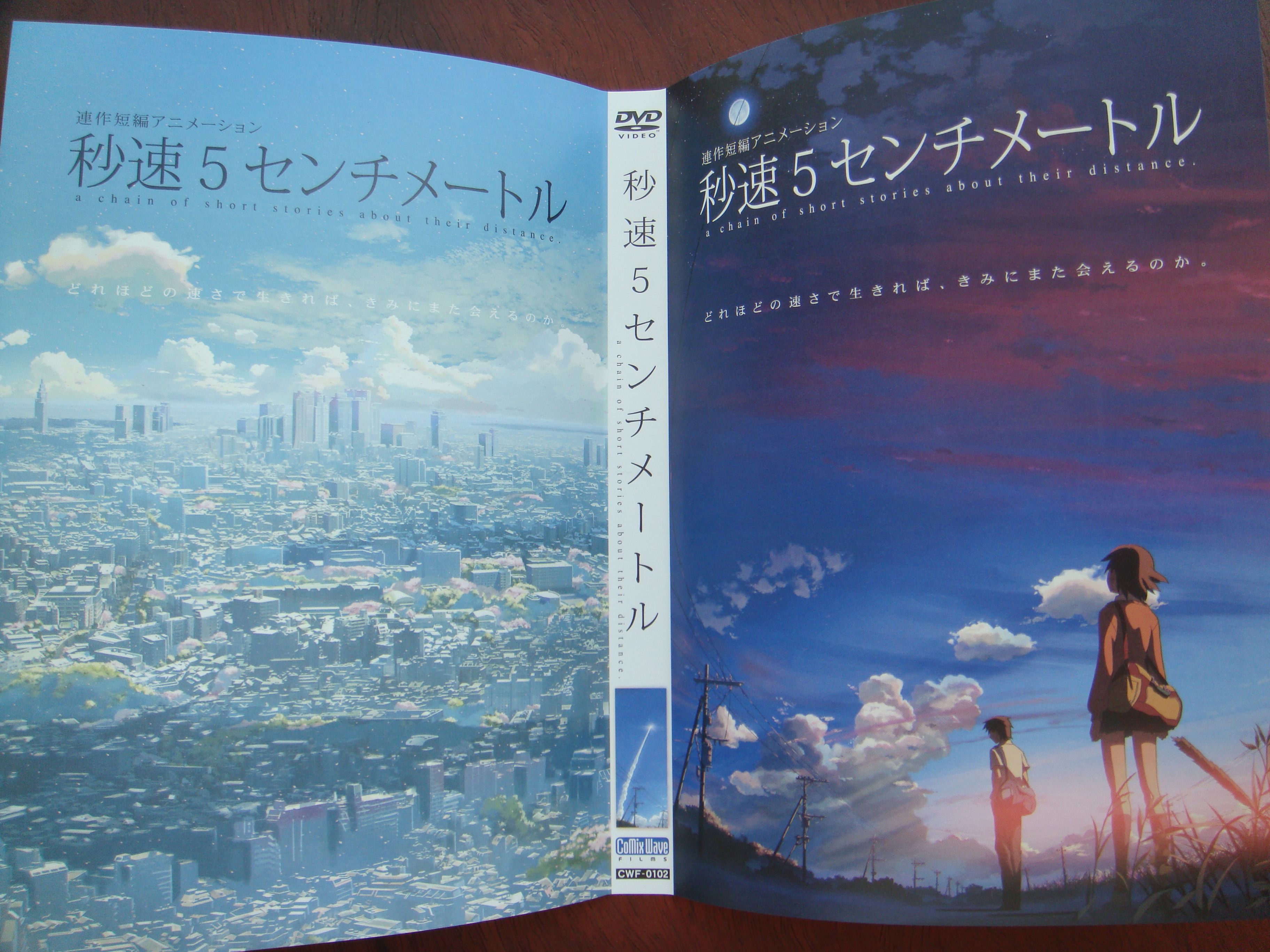 Detail 5 Centimeters Per Second Poster Nomer 38