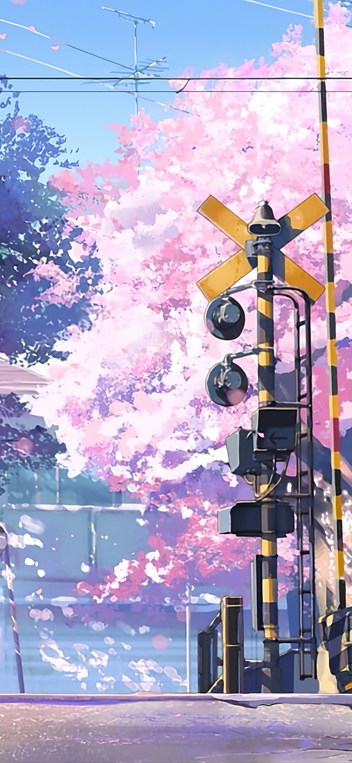 Detail 5 Centimeters Per Second Wallpaper Nomer 33