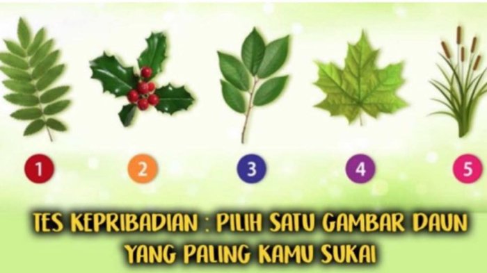 Detail 5 Gambar Daun Nomer 2