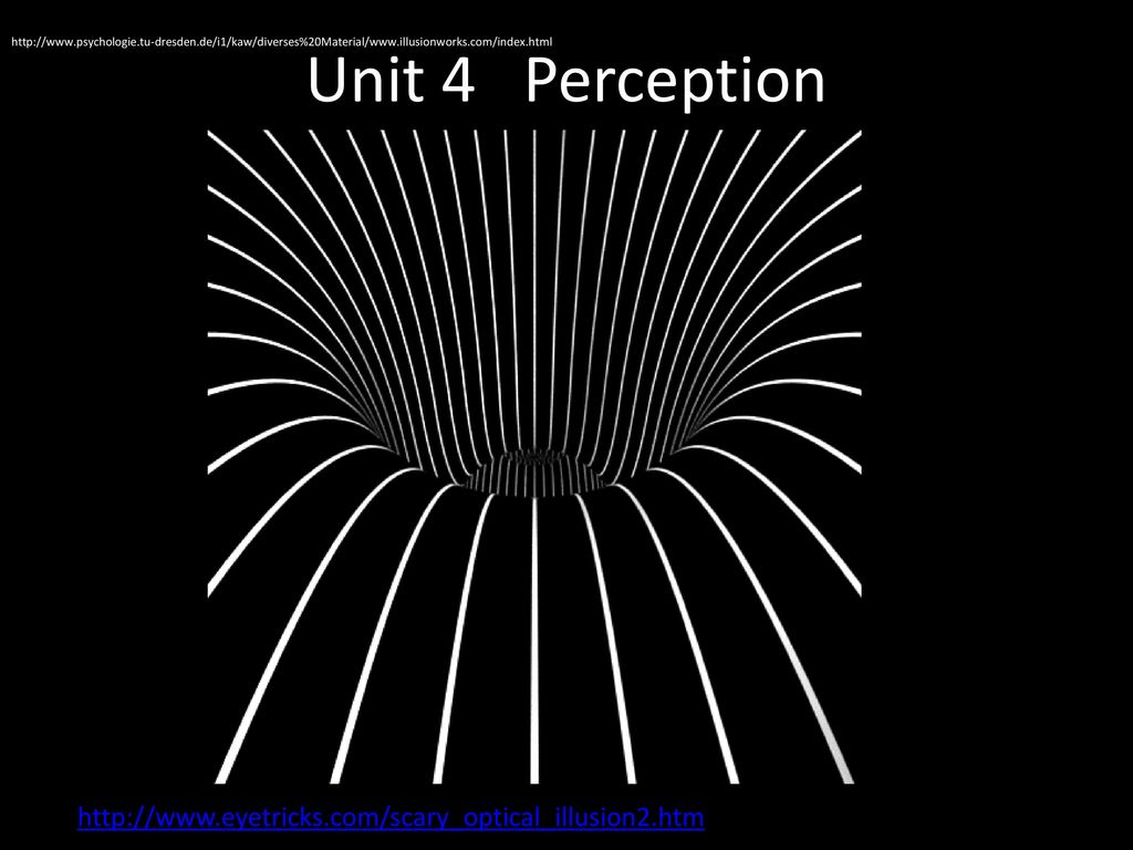 Download 50 Gambar Yang Menipu Mata Optical Illusions Nomer 53