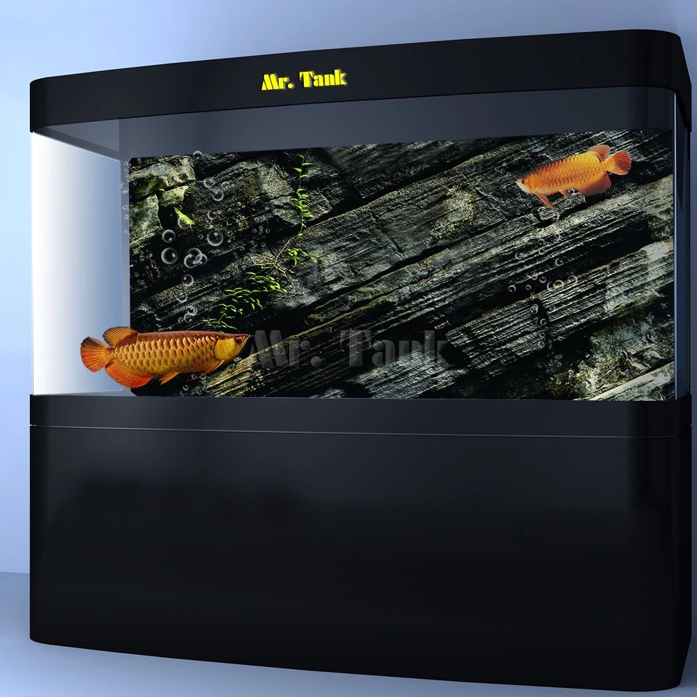 Detail 72 Aquarium Background Nomer 7