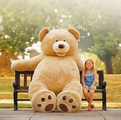 Detail 78 Teddy Bear Nomer 23