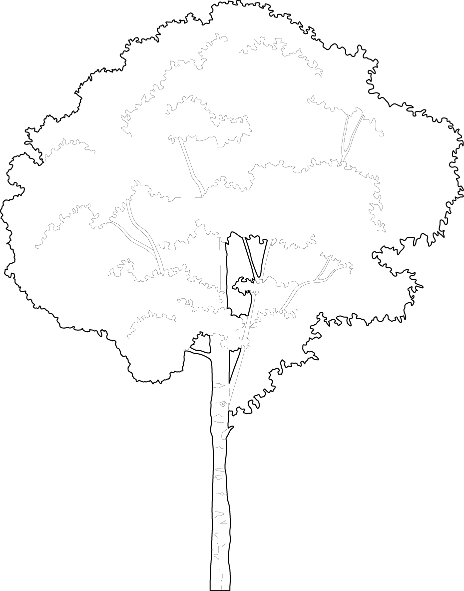 Detail Cad Tree Top View Nomer 16