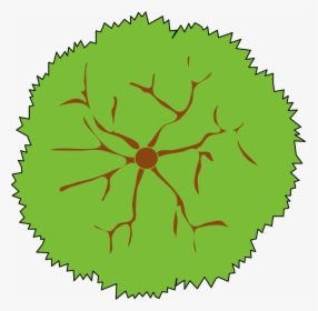 Detail Cad Tree Top View Nomer 17