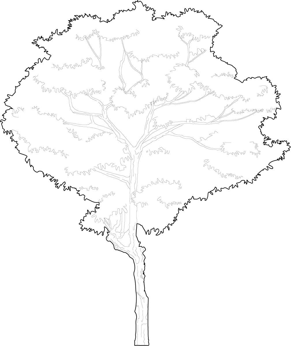Detail Cad Tree Top View Nomer 4