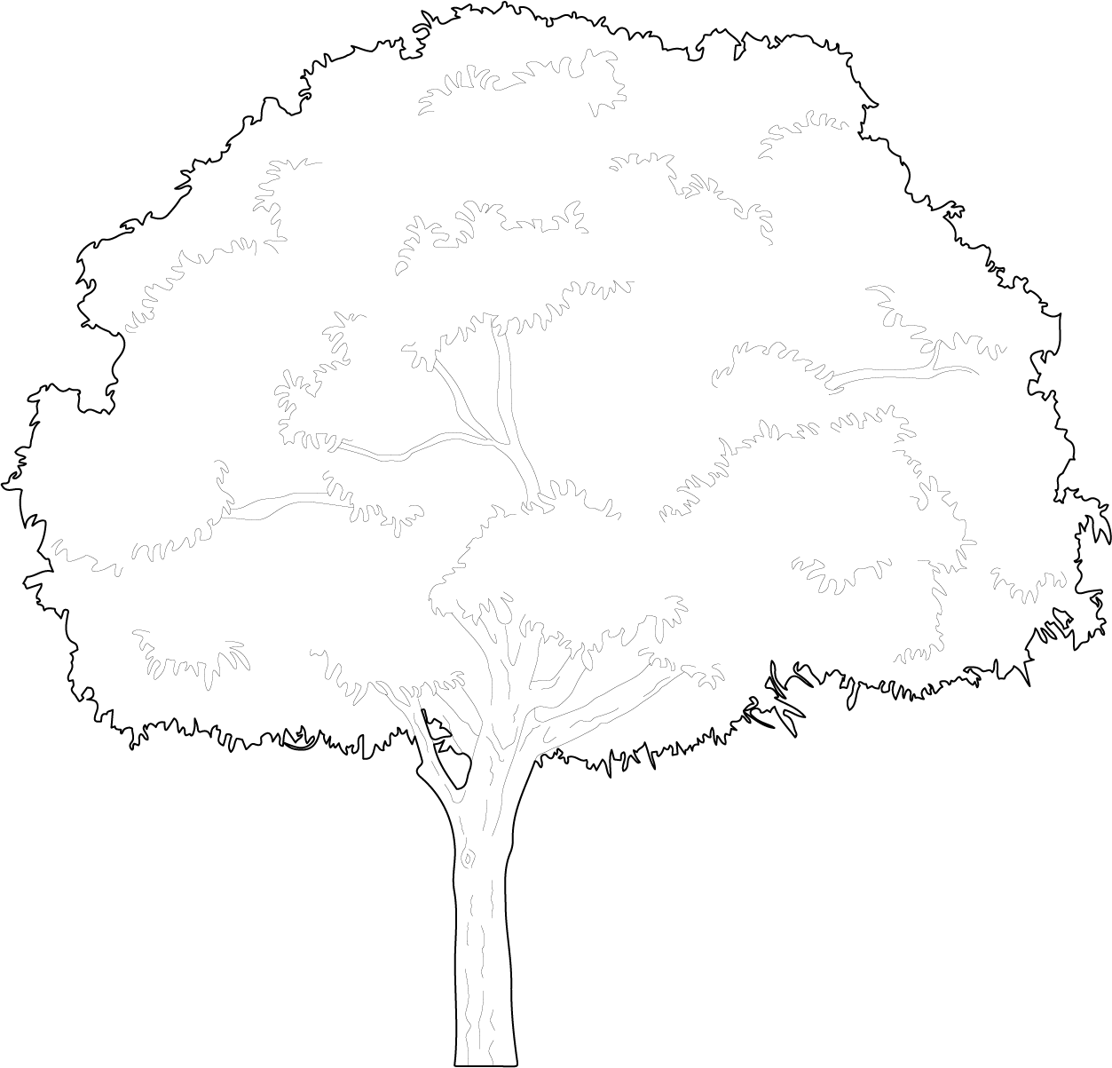 Detail Cad Tree Top View Nomer 5
