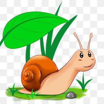 Detail Cartoon Snail Nomer 7