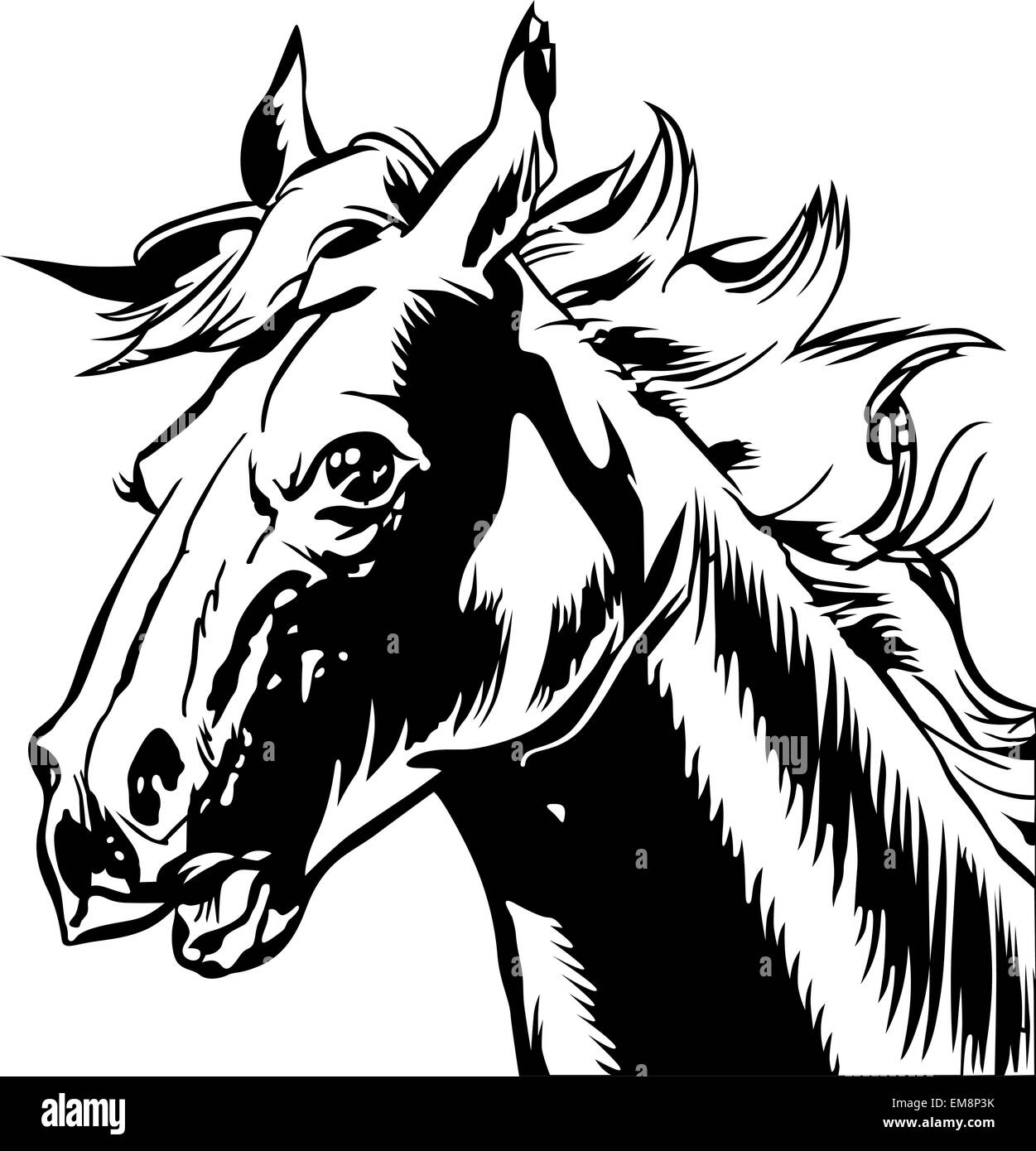 Detail Friesian Horse Head Drawing Nomer 3