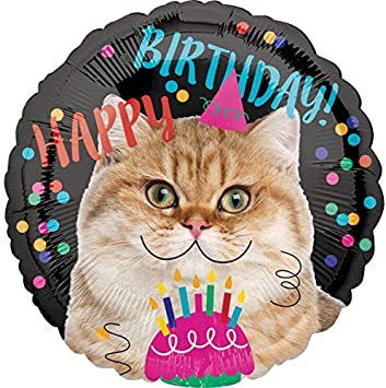 Detail Geburtstag Mit Katze Nomer 2