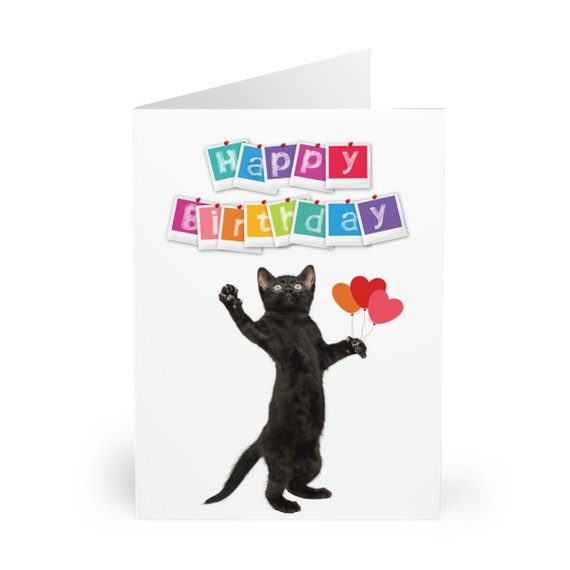 Detail Geburtstag Mit Katze Nomer 15
