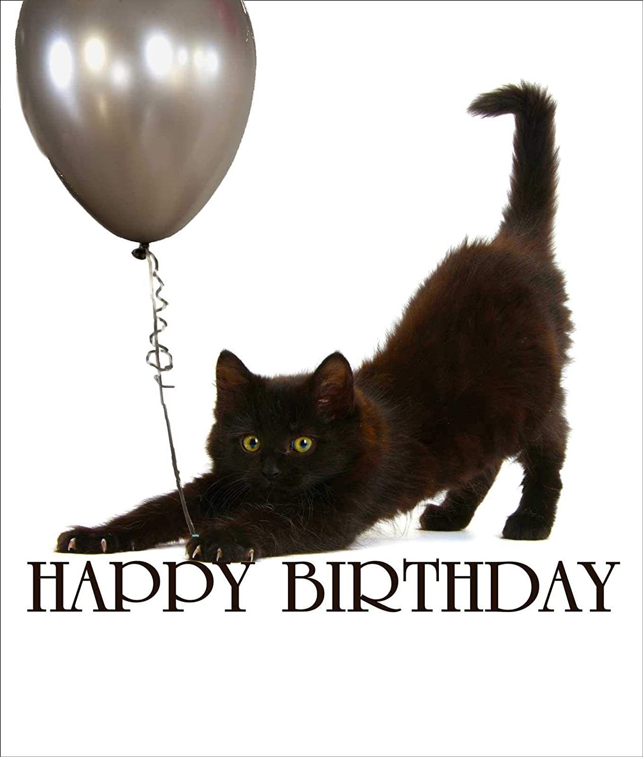 Detail Geburtstag Mit Katze Nomer 22