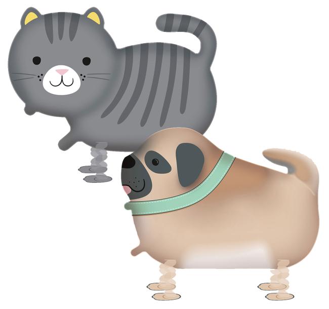 Detail Geburtstag Mit Katze Nomer 23