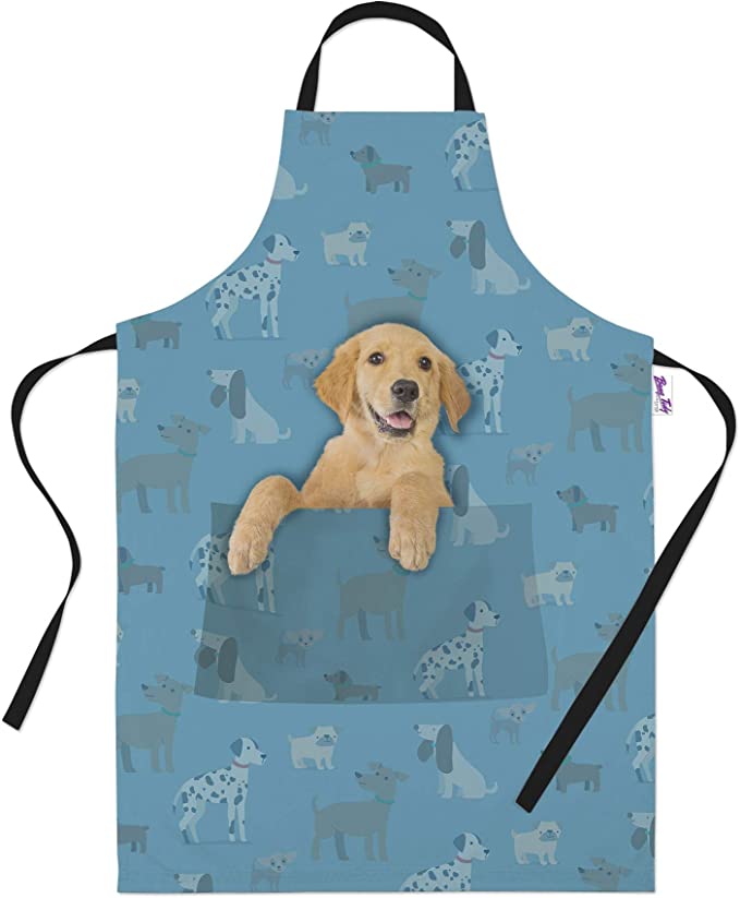 Detail Golden Retriever 5 Monate Nomer 11