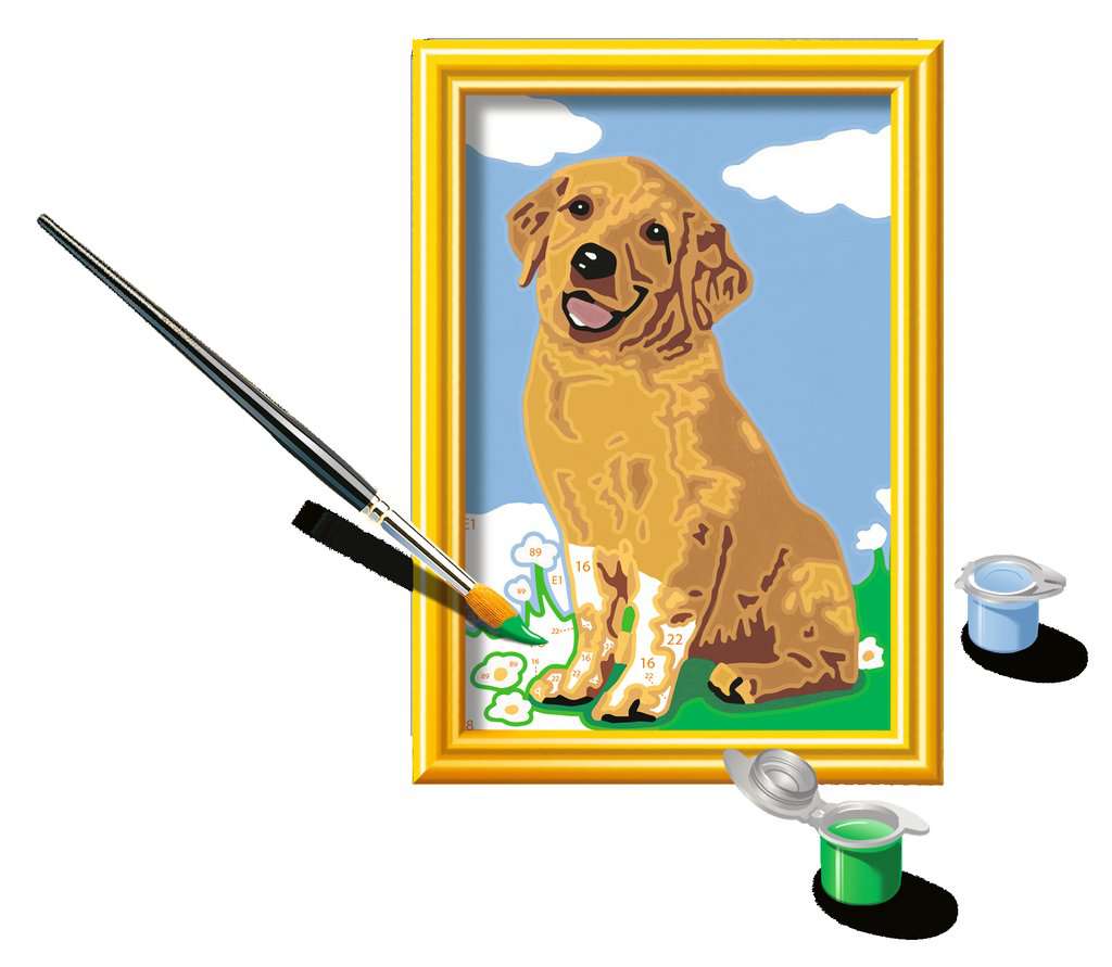 Detail Golden Retriever 5 Monate Nomer 15