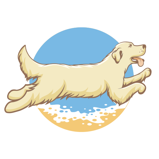 Detail Golden Retriever 5 Monate Nomer 18