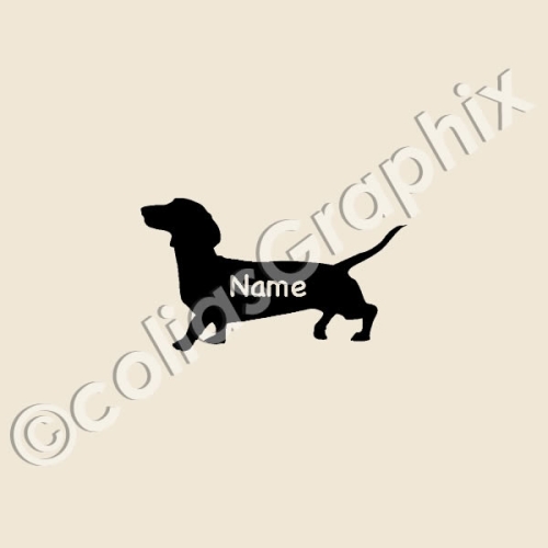 Detail Golden Retriever 5 Monate Nomer 19