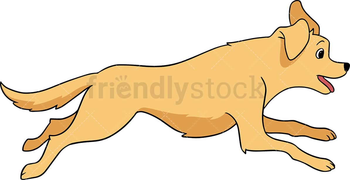 Detail Golden Retriever 5 Monate Nomer 3
