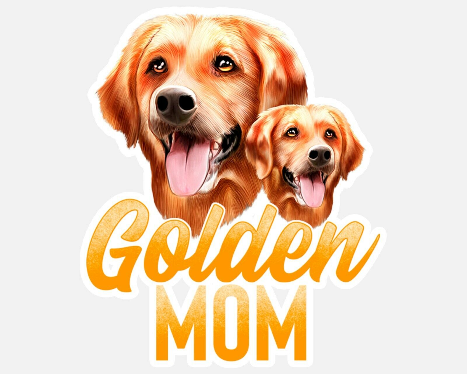 Detail Golden Retriever 5 Monate Nomer 20