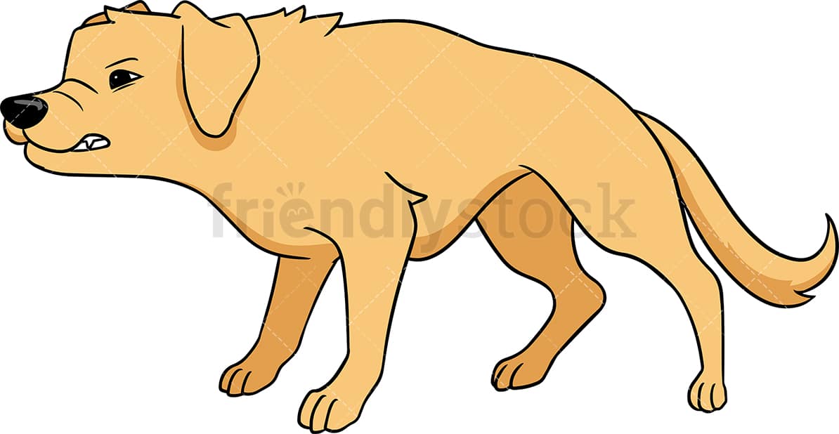 Detail Golden Retriever 5 Monate Nomer 5