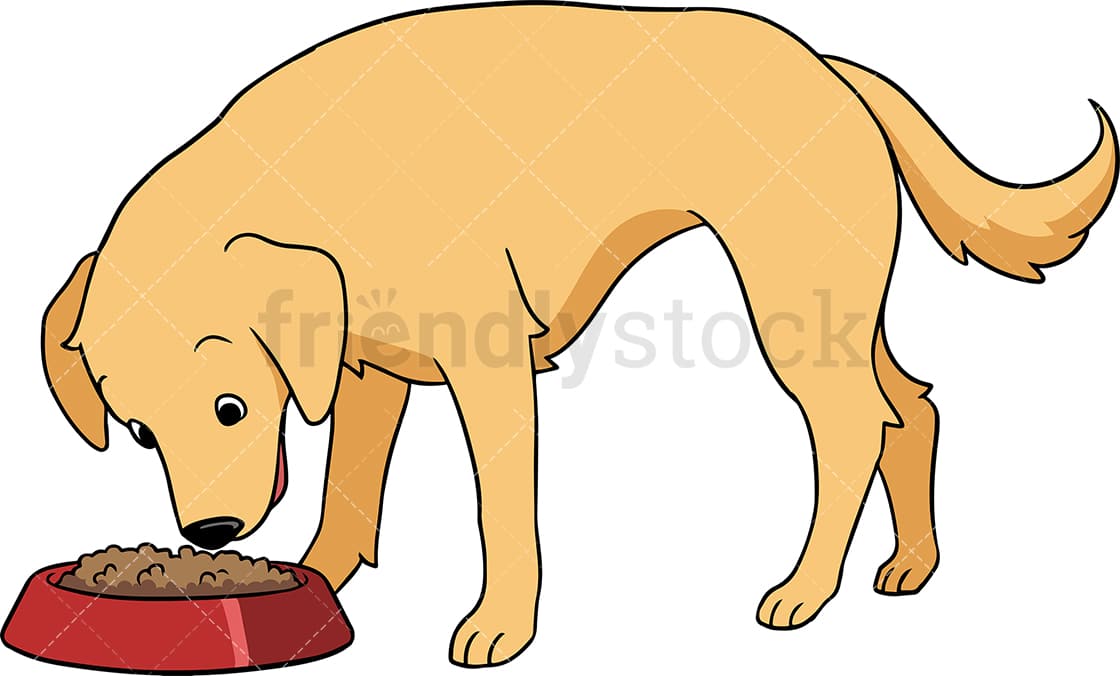 Detail Golden Retriever 5 Monate Nomer 6