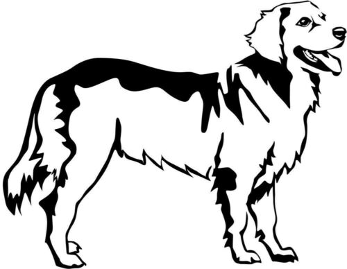Detail Golden Retriever 5 Monate Nomer 7