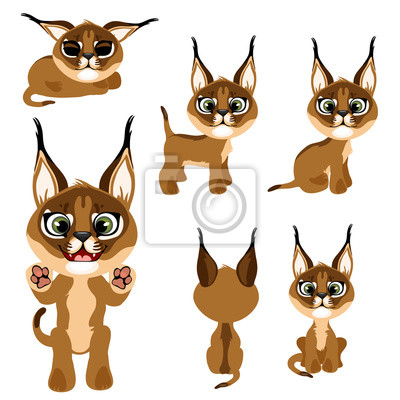 Detail Luchs Comic Nomer 2