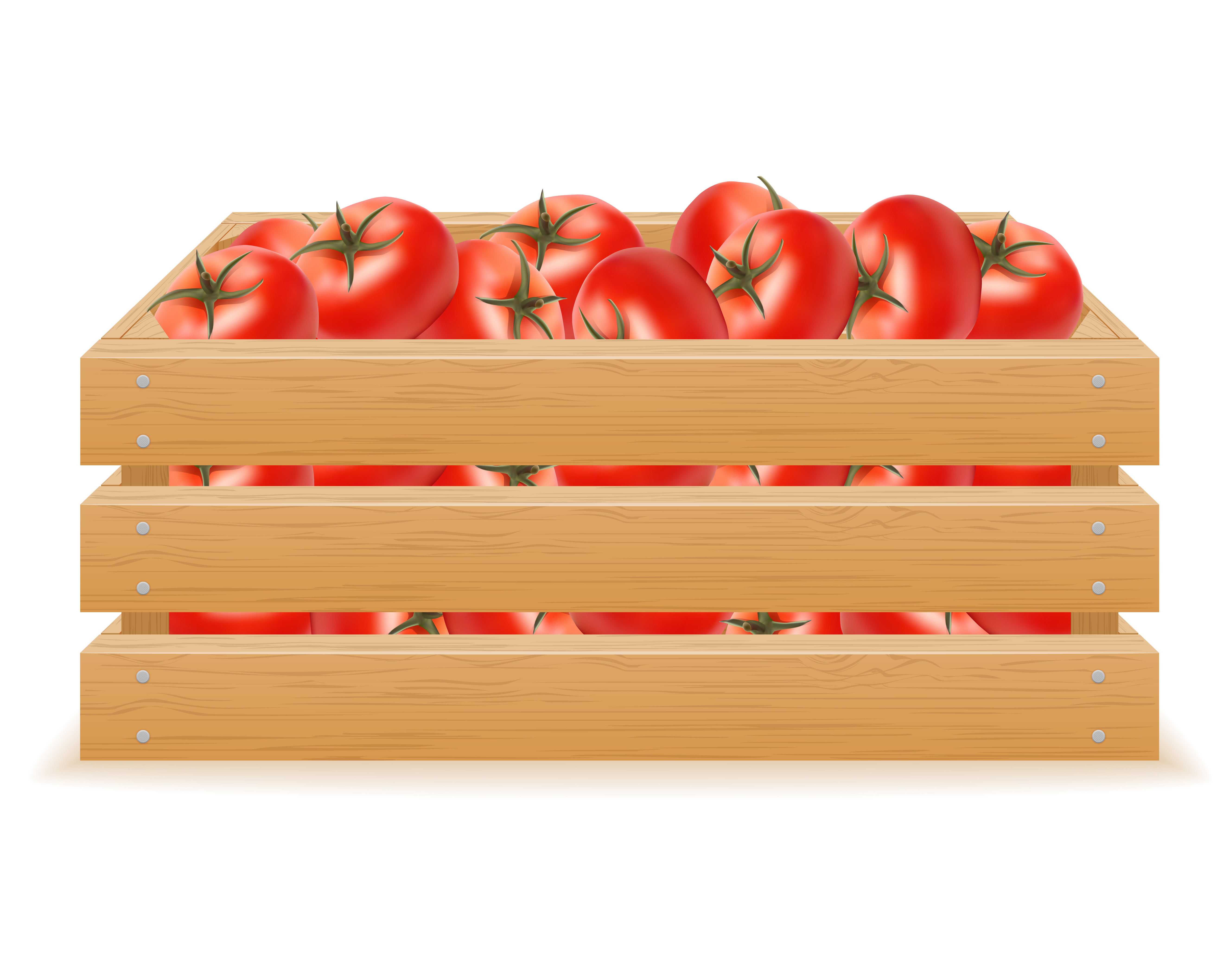 Tomato Box Wooden - KibrisPDR