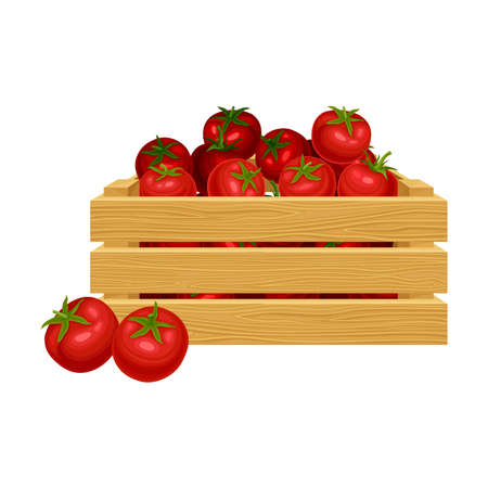 Detail Tomato Box Wooden Nomer 5