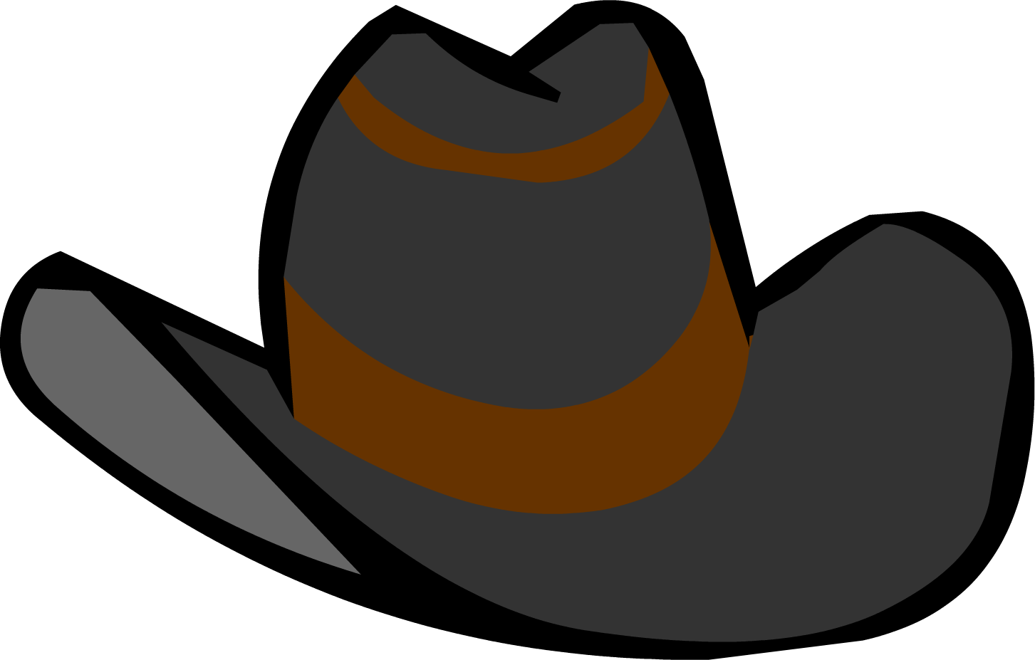 Detail Vaquero Hut Nomer 4