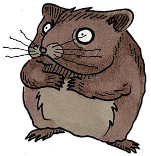 Detail Wombat Rat Nomer 10