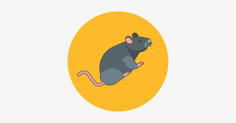 Detail Wombat Rat Nomer 13