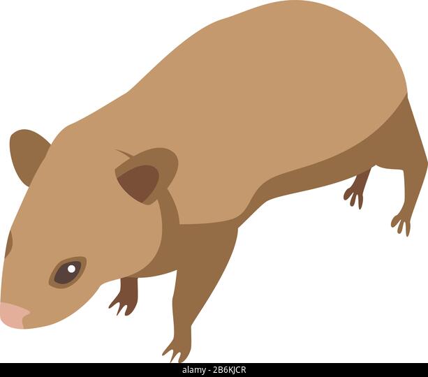 Detail Wombat Rat Nomer 14